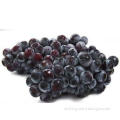 Small Particles Delicious Taste Fresh Red / Black Grapes Fr